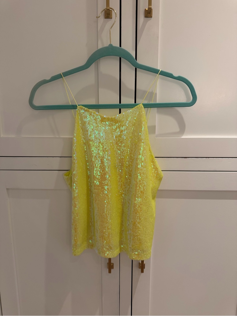 Zara Sequin Cami Tank Top